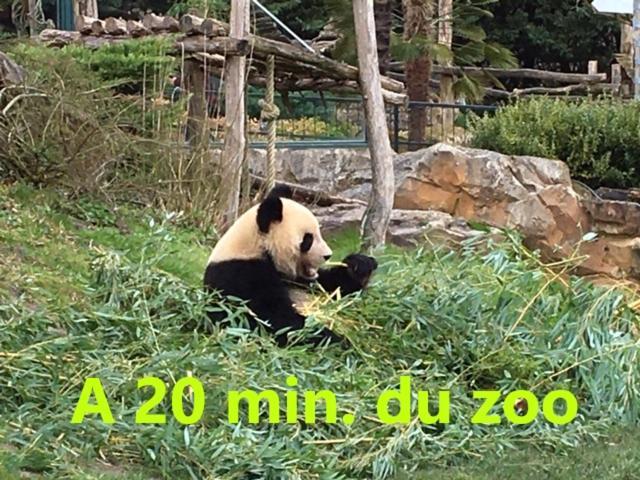 Homestay Evasion Idyllique A L'etage Pres Zoo-chateaux