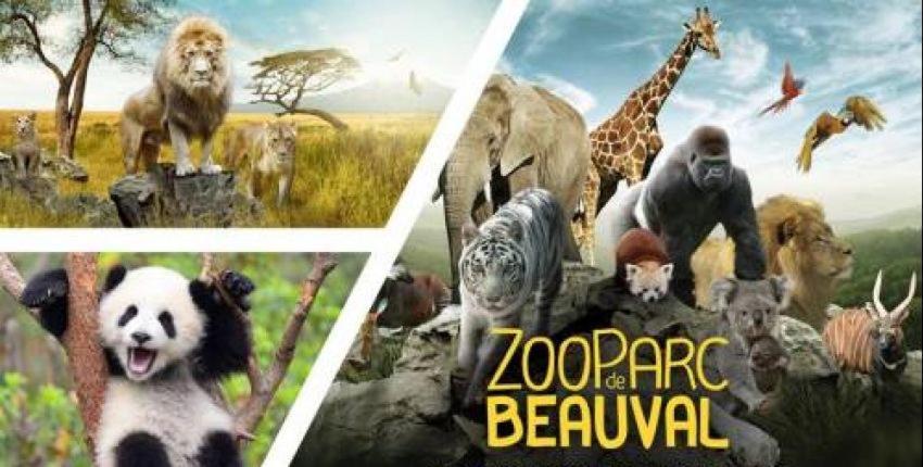 Evasion Idyllique A L'etage Pres Zoo-chateaux * Faverolles-sur-Cher